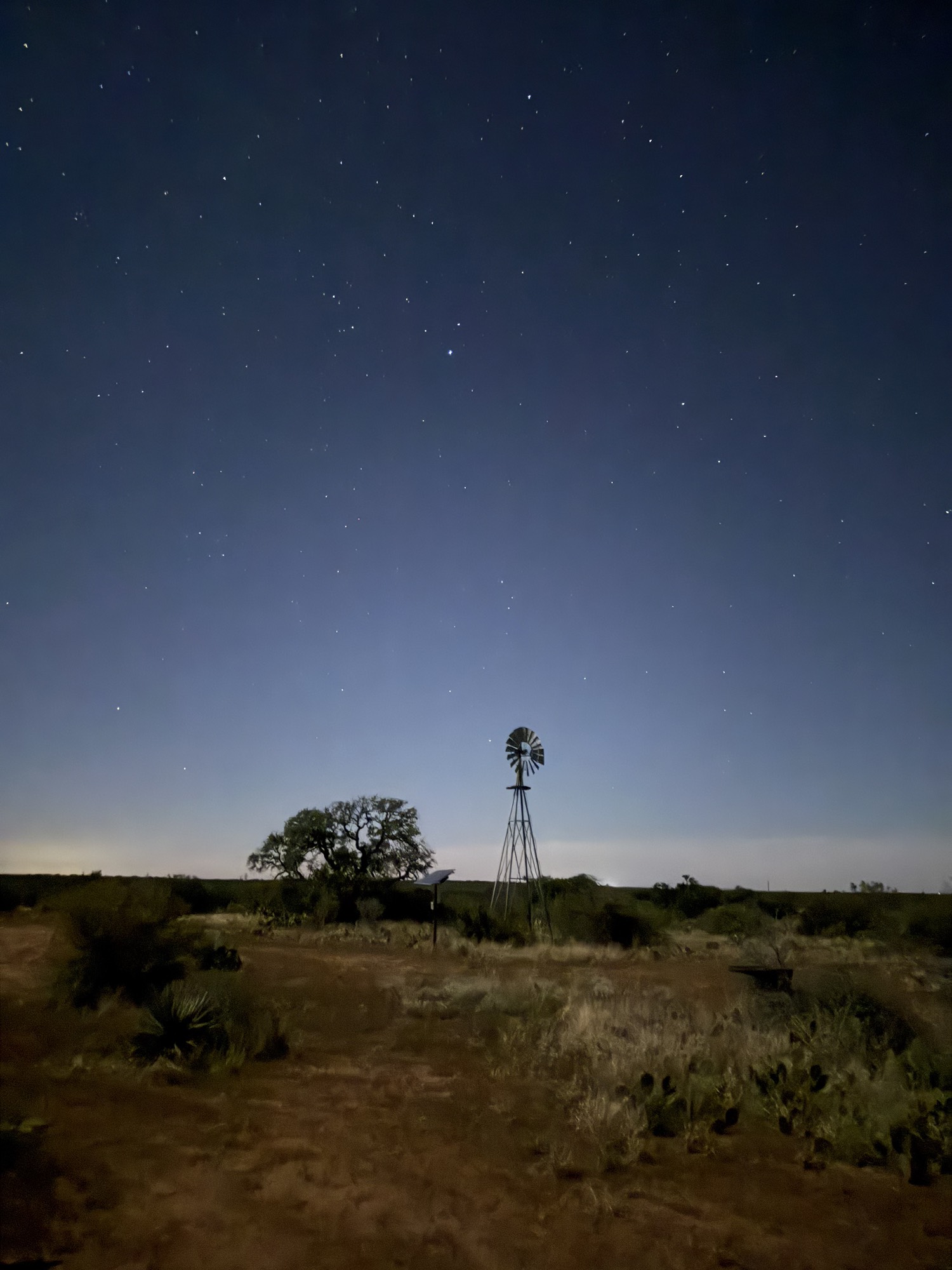 Starry night over the ranch