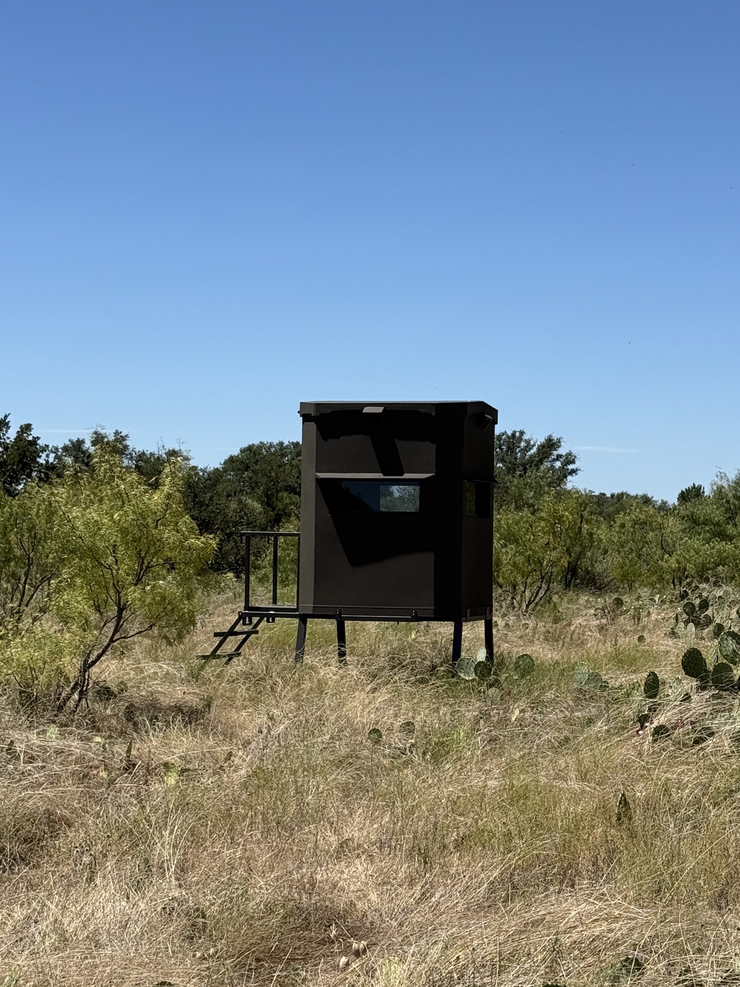 Little Chingon elevated hunting blind