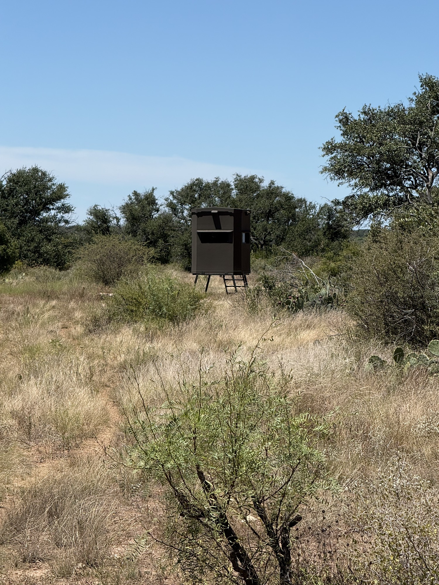 Hunting blind on Rafter JSL Ranch